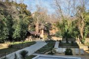 Беседка при баре, территория